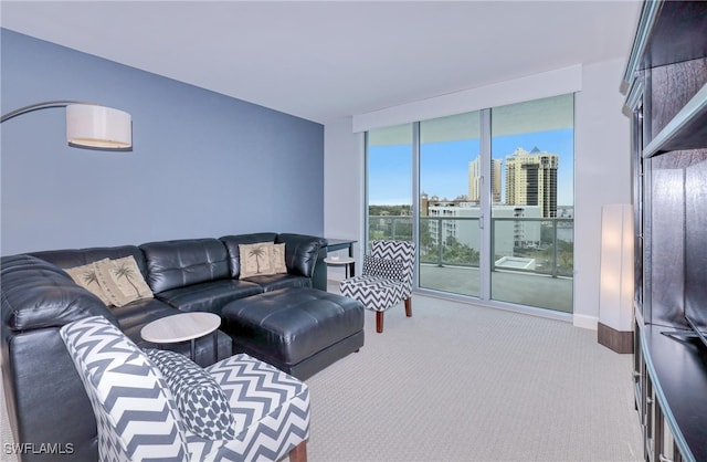 living room with carpet floors