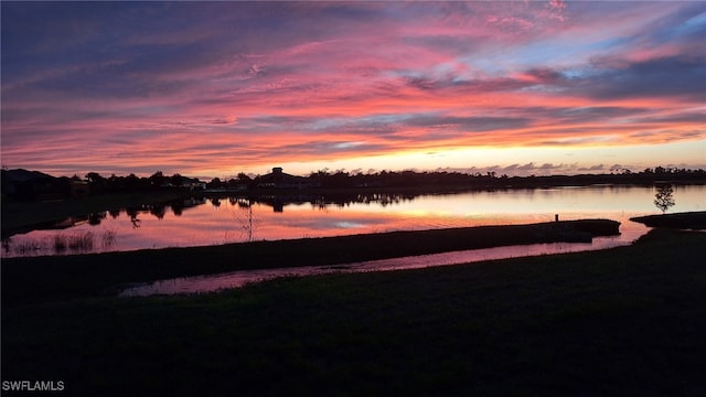 property view of water