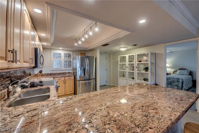 kitchen featuring decorative backsplash, sink, a tray ceiling, stainless steel appliances, and light stone counters