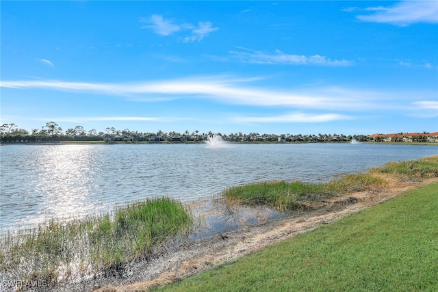 view of water feature