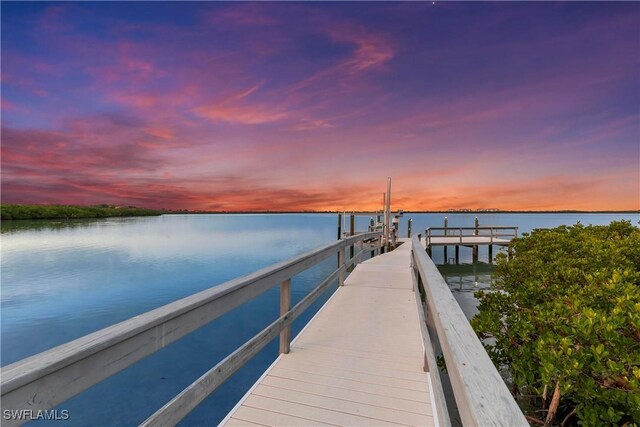 dock area with a water view