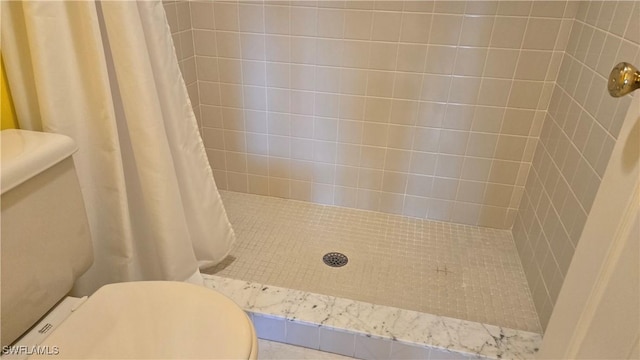 bathroom with toilet and a shower with shower curtain