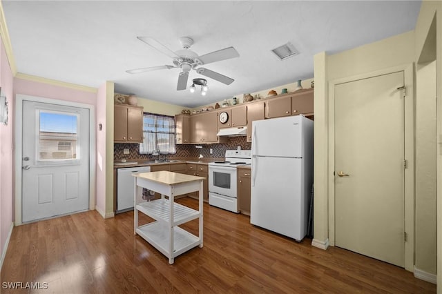 kitchen with sink, white appliances, ceiling fan, hardwood / wood-style flooring, and backsplash