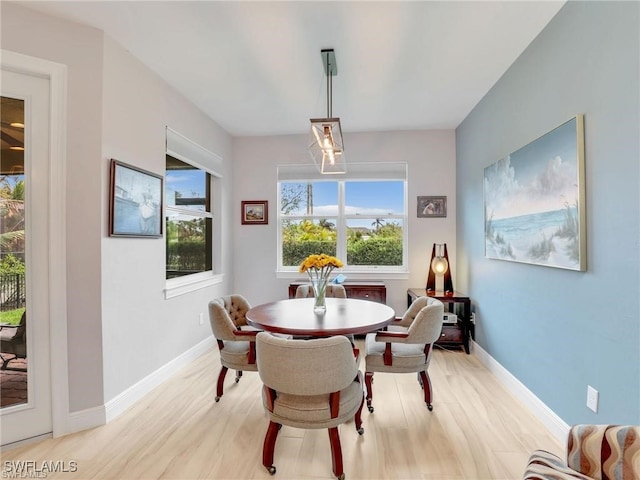 dining room with light hardwood / wood-style flooring