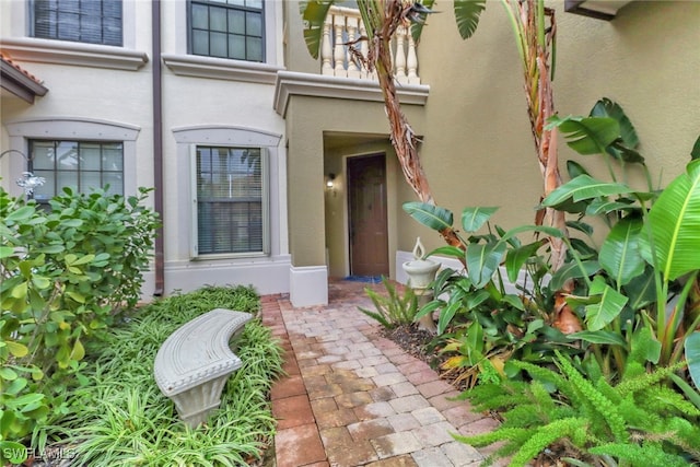 view of exterior entry featuring stucco siding