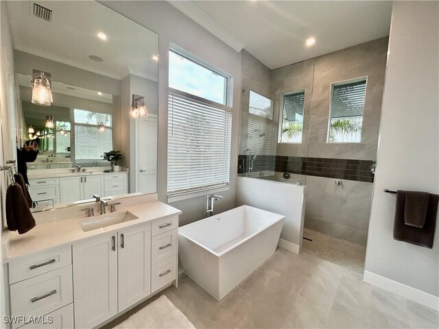 bathroom with a wealth of natural light, vanity, and independent shower and bath