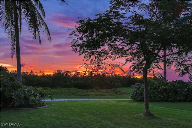 view of property's community with a yard