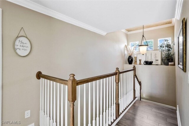 hall featuring crown molding and wood-type flooring