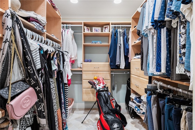 view of walk in closet