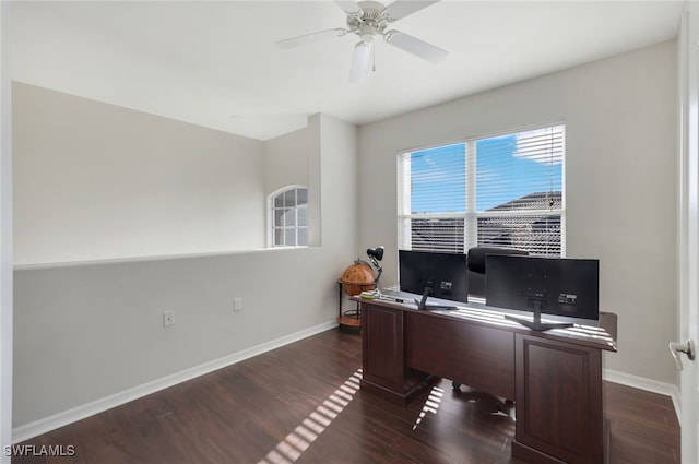 home office with ceiling fan and dark hardwood / wood-style floors