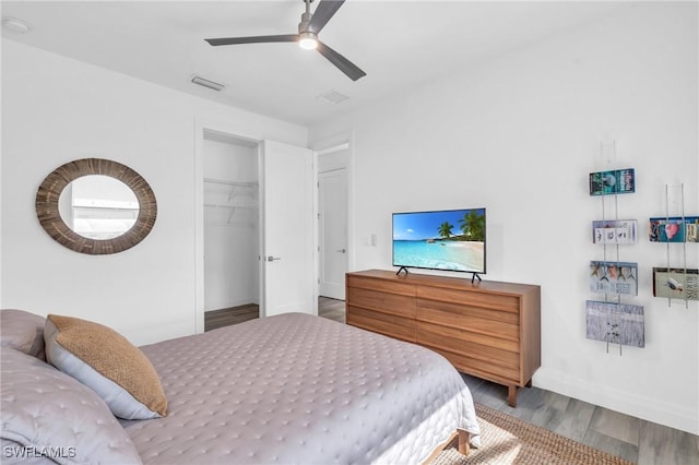 bedroom with a walk in closet, hardwood / wood-style floors, ceiling fan, and a closet