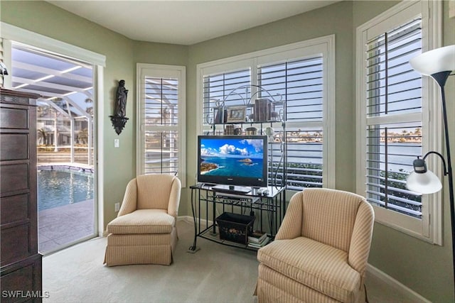 living area with light carpet