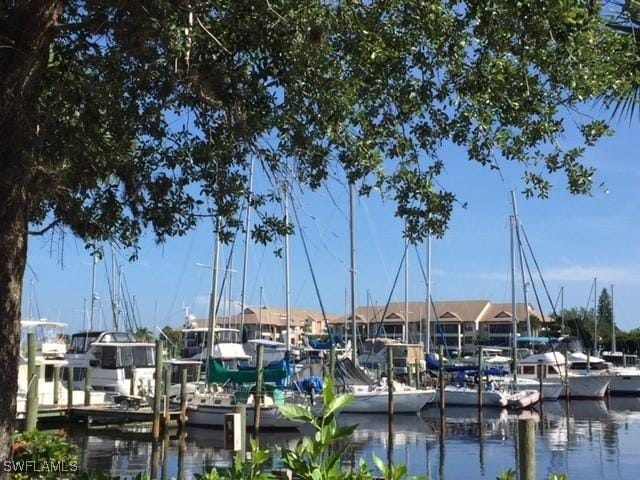 dock area with a water view