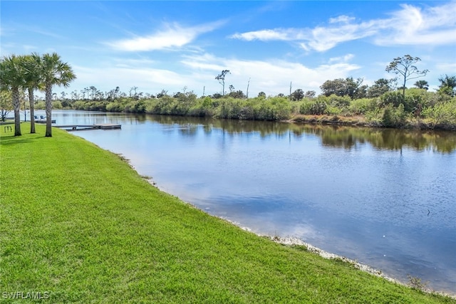 property view of water