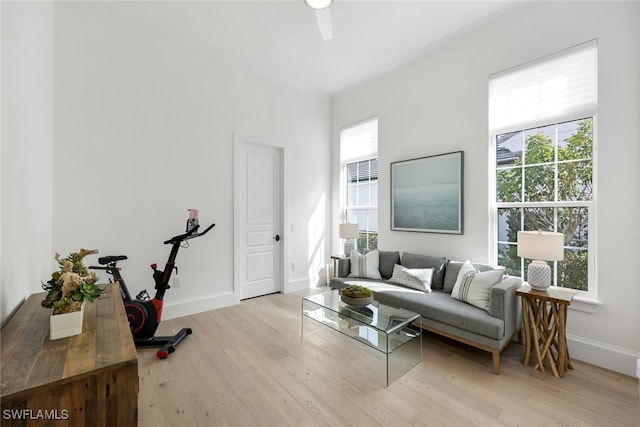 living room featuring light hardwood / wood-style floors