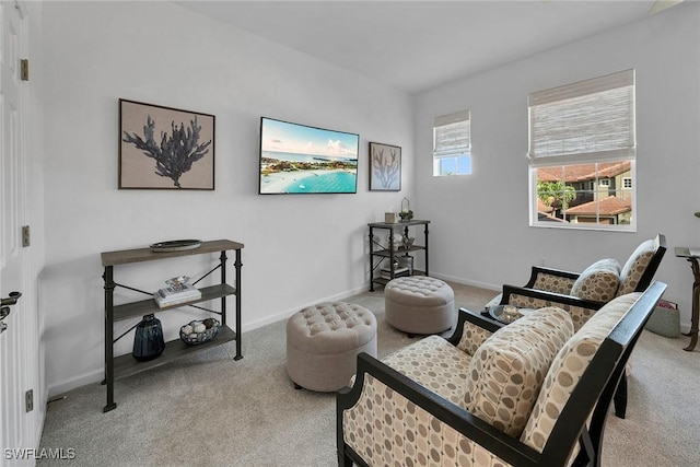 living area featuring light colored carpet