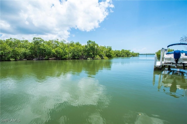 property view of water with a boat dock