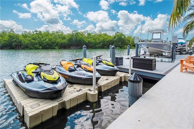 dock area with a water view