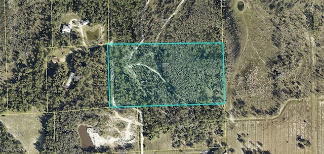 14191 Briar Ln, Fort Myers FL, 33913 land for sale