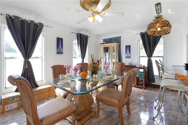 dining area with ceiling fan and crown molding