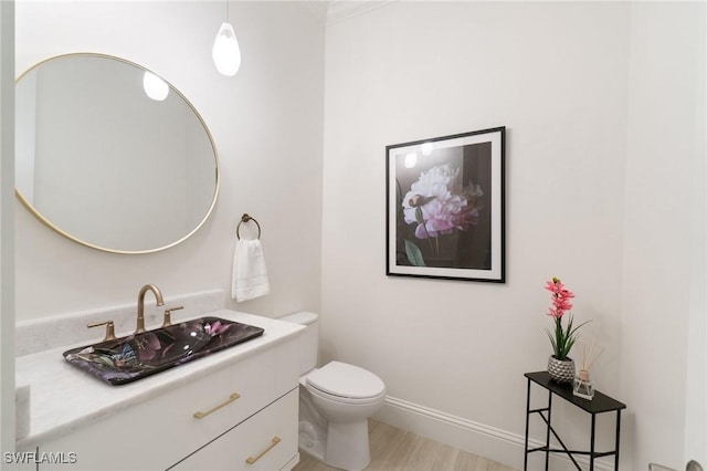 bathroom featuring vanity, wood-type flooring, and toilet