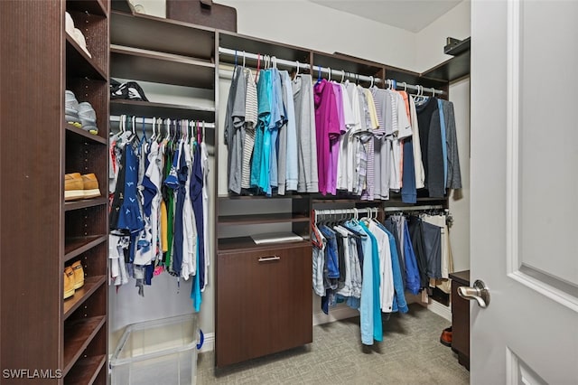 spacious closet with light carpet