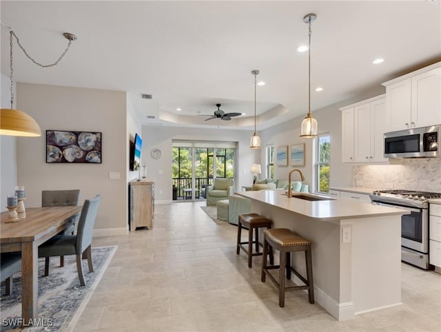 kitchen featuring sink, stainless steel appliances, a tray ceiling, white cabinets, and a center island with sink