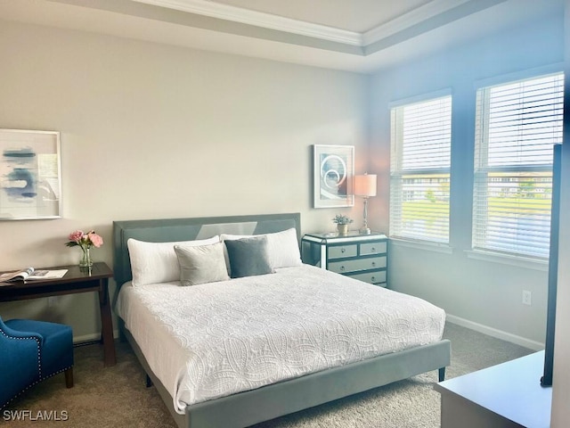 carpeted bedroom featuring crown molding and a raised ceiling