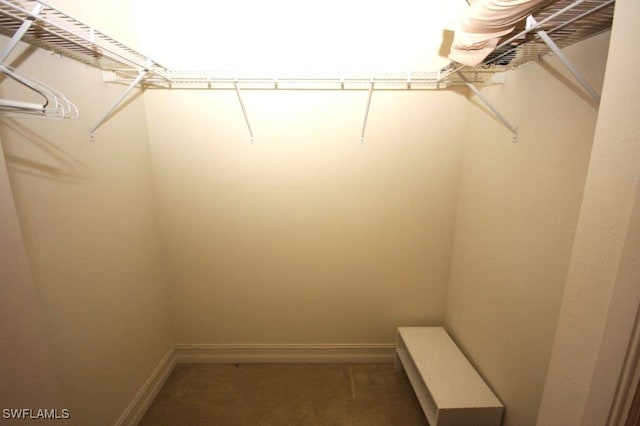 view of walk in closet