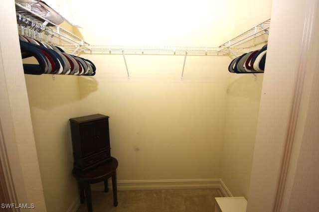 view of spacious closet