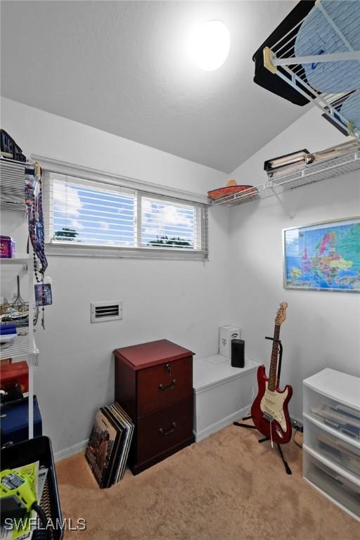 interior space with lofted ceiling