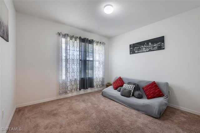 sitting room featuring carpet floors