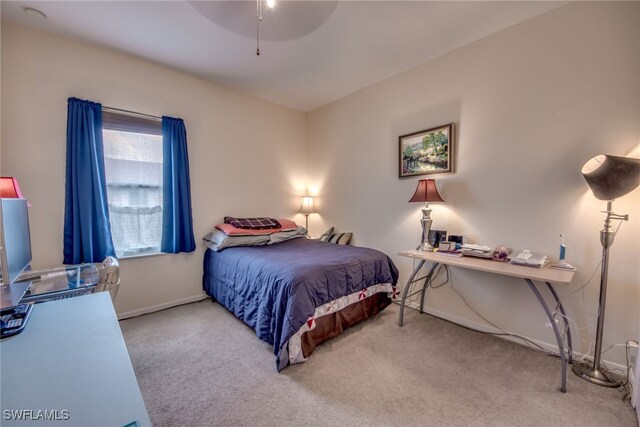 bedroom with carpet flooring