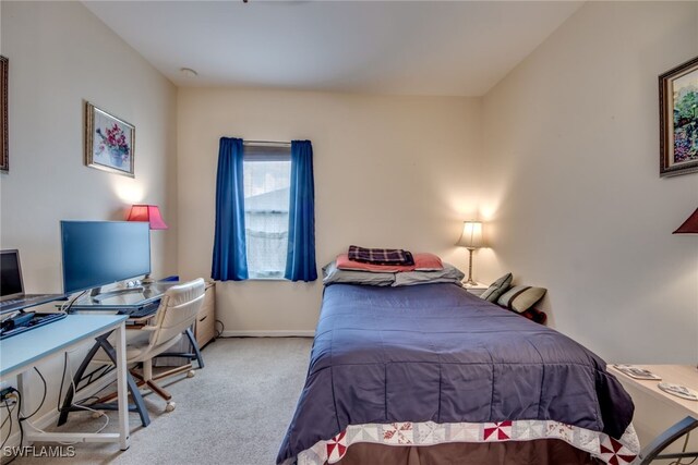 view of carpeted bedroom