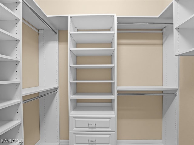 view of walk in closet