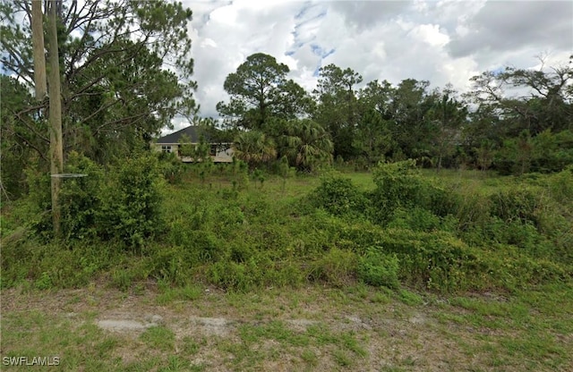 550 Sargent St, Lehigh Acres FL, 33972 land for sale