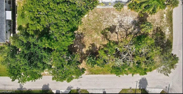 2296 Curtis St, Naples, FL 34112