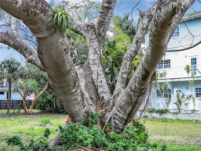 2296 Curtis St, Naples, FL 34112