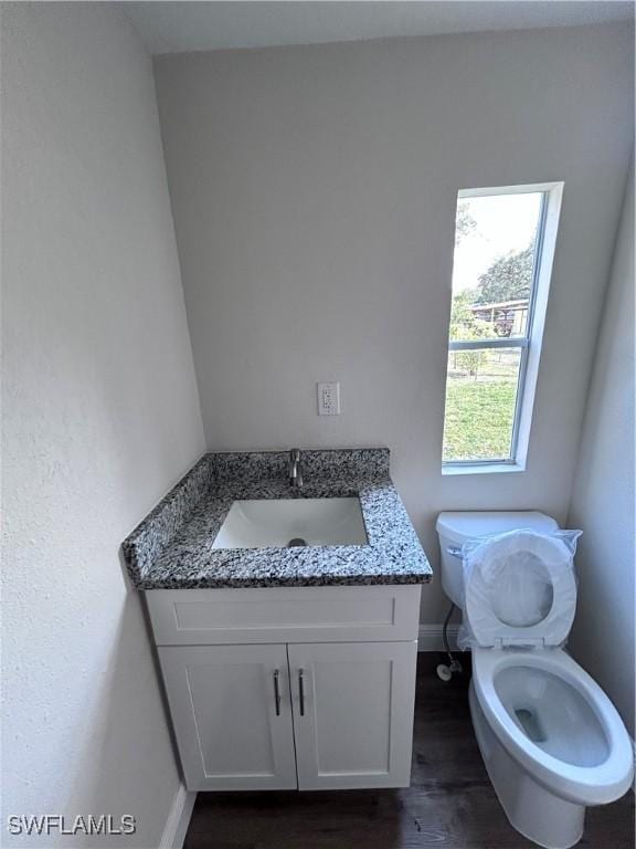 bathroom featuring toilet, vanity, and hardwood / wood-style floors