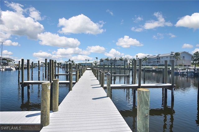 dock area with a water view