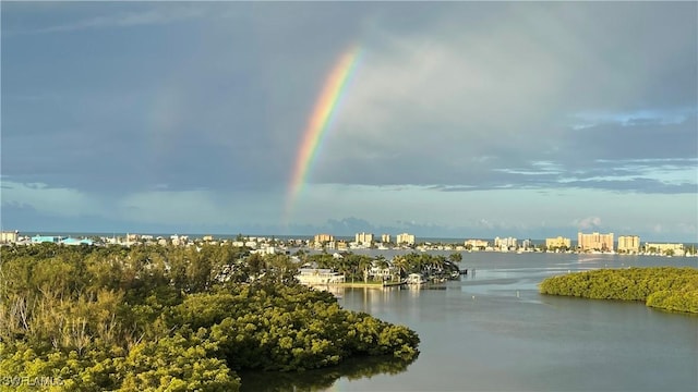 property view of water