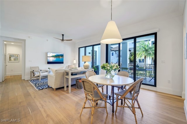 dining space with ceiling fan, light hardwood / wood-style floors, and plenty of natural light