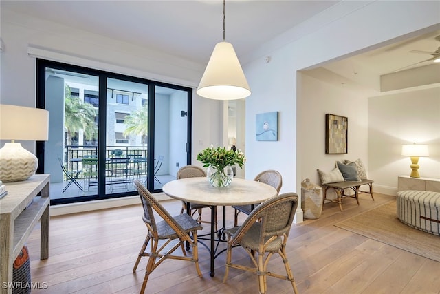 dining room with ceiling fan and light hardwood / wood-style flooring