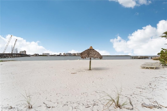 view of yard with a water view and a beach view