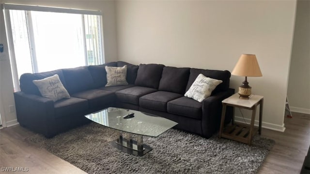 living room with hardwood / wood-style flooring