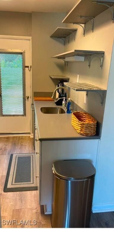 kitchen with sink and hardwood / wood-style flooring