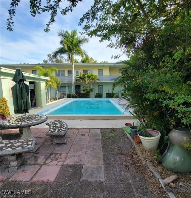 view of swimming pool with a patio area