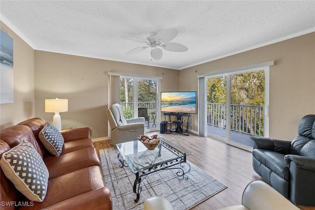 living room with ceiling fan, a textured ceiling, light hardwood / wood-style flooring, and ornamental molding