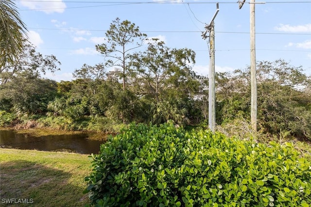 view of local wilderness with a water view