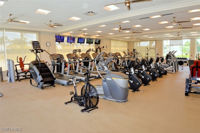 gym with a paneled ceiling, light colored carpet, and ceiling fan